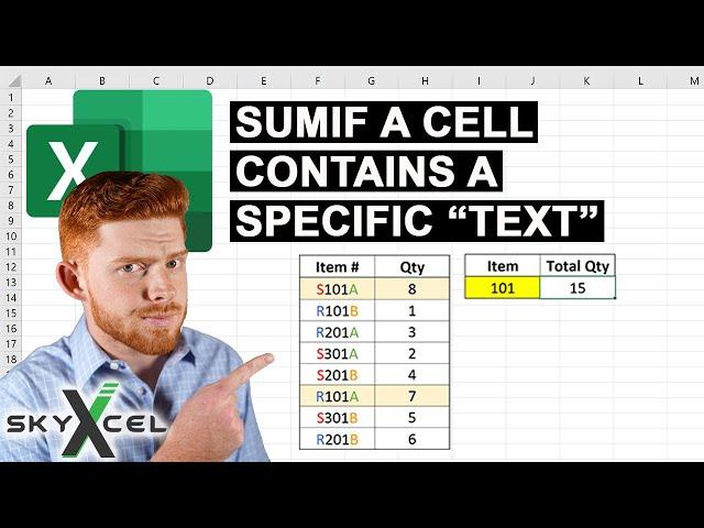 How to Sum Values If a Cell Contains a Specific Text | SKYXCEL