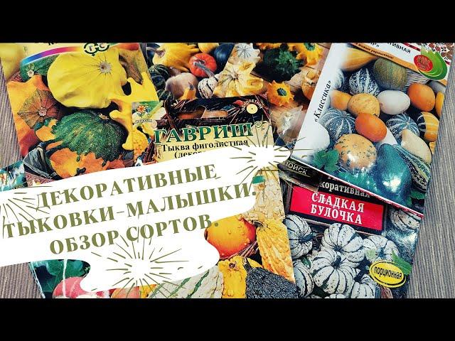 #тыквымалышки#тыквы Декоративные тыквы-малютки. Обзор сортов.