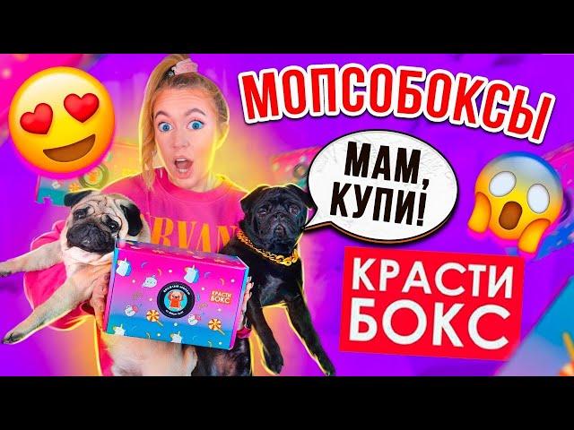 ПЕРВЫЙ МЕРЧ МОПСИКОВКРАСТИБОКС ДРУЖНЫЕ МОПСЫРАСПАКОВКА️+ новинки