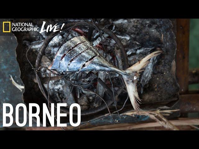 We Are What We Eat: Borneo | Nat Geo Live