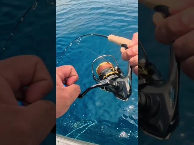 Shimano Twin Power C3000XG on Wahooo!!#shimano #twinpower #mackerelfishing