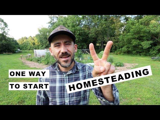 HOW to LIVE That HOMESTEAD LIFE | TUESDAY TIP OF THE DAY