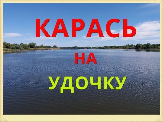 Ловля карася на удочку. Карась.