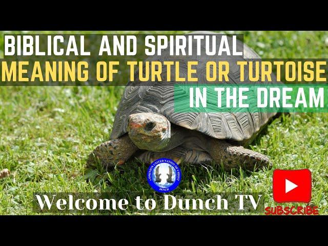 Spiritual Meaning Of Turtle In The Dream--Evangelist Israel Ministries Int'l-Dunch TV