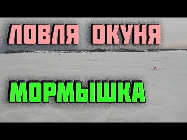 ЗИМНЯЯ РЫБАЛКА. ЛОВИМ ОКУНЯ ЛОВЛЯ ЗИМОЙ НА МОРМЫШКУ. ЛОВЛЯ НА ЖЕРЛИЦЫ.