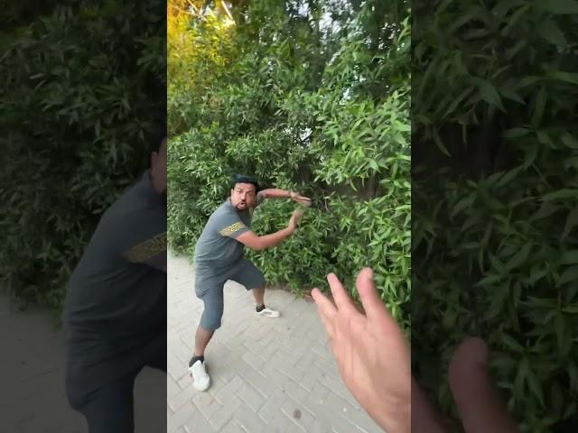 “Dear Life is dangerous”  #minivlog #animals #dear