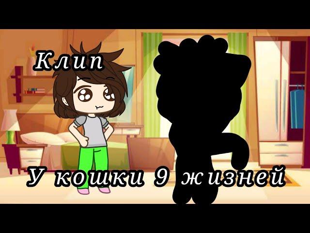 Клип ~•У кошки 9 жизней •~