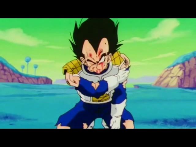 Tfs- Goku And Vegeta Funniest Moments!