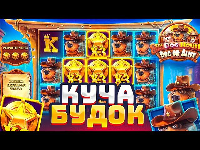 Я КАМБЭКНУЛ В THE DOG HOUSE DOG OR ALIVE НА ПОСЛЕДНЕМ СПИНЕ / Я ТАКОГО НЕ ОЖИДАЛ! ПОДНЯЛ 6.000.000Р