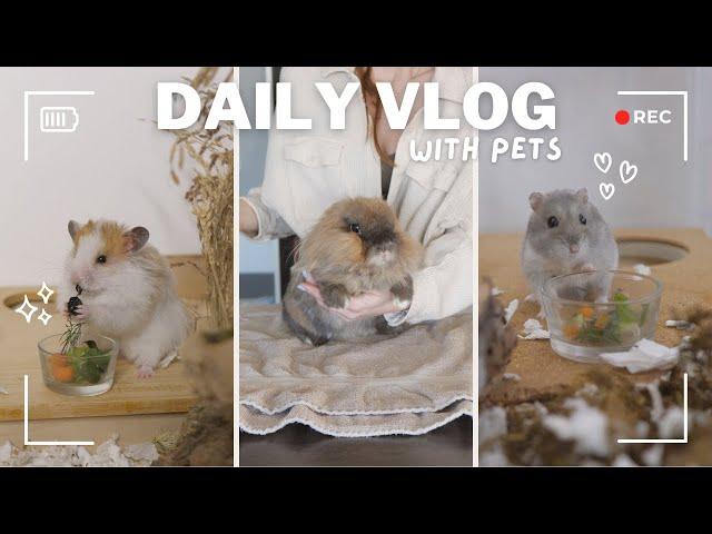 A Regular Day with Pets | Pet Vlog