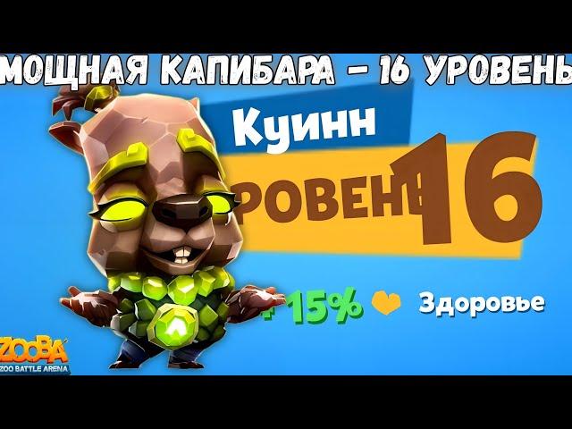 ГЕОМАНТКА КУИНН НА 16 УРОВЕНЬ В ИГРЕ ZOOBA!!!