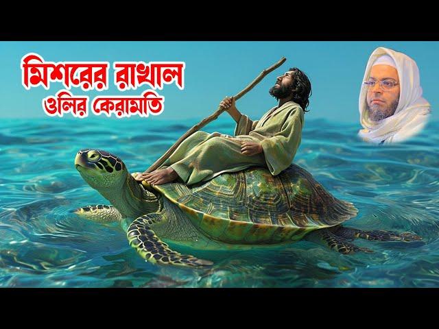 মুফতি নাসির উদ্দিন আনসারী - মিশরের রাখাল অলির কেরামতি  - bd waz