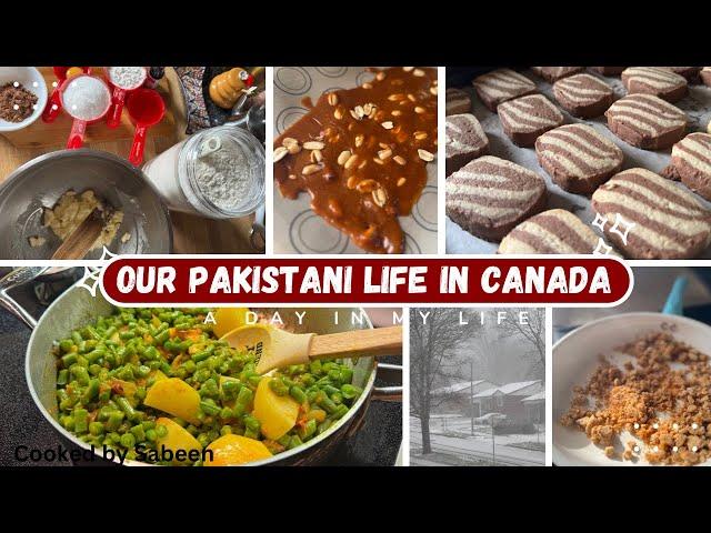 Minutes mey Khatam No Fail Zebra Cookies |Pakistani Mom in Canada Vlogs| Cooked by Sabeen