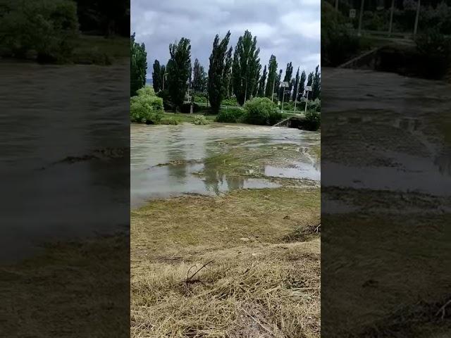 Белогорск 28.06.22 речка уголок