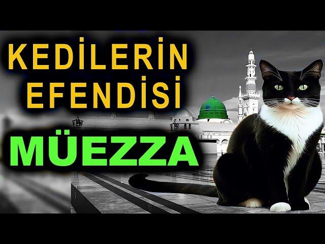 Kedilerin Efendisi MÜEZZA! Kedilerin Kaderin Değiştirdi...