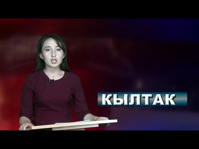 КЫЛТАК- Мыйзамга баш ийбеген айдоочуларга карата чаралар