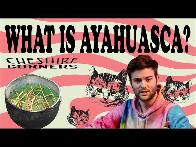 CHESHIRE CORNERS: WHAT IS AYAHUASCA? (CAAPI, YAGE, AYAGUASCA, DMT TEA)