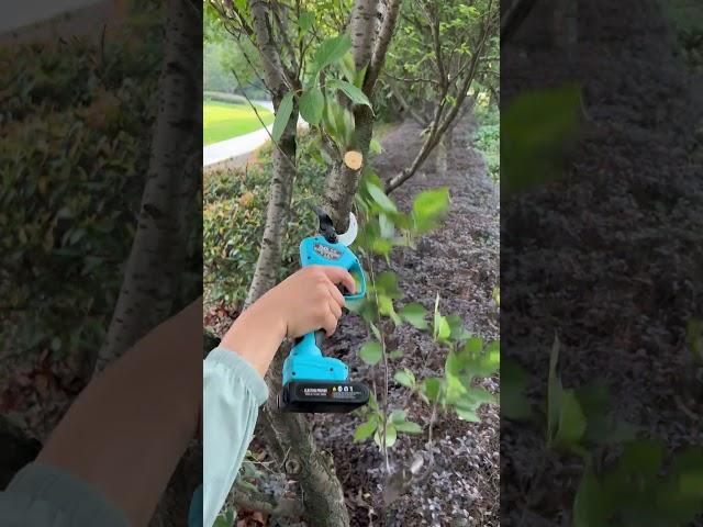 SUCA-8605 40MM Electric Progressive Pruning Shear electric grafting machine Garden Pruning Shear