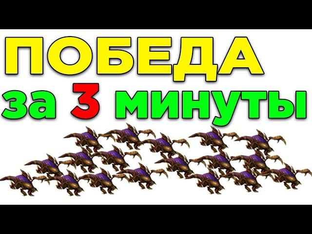 ПРОСТО ПОБЕЖДАЙ ПРОТОСС ЗА 3 МИНУТЫ. ЗЕРГИ ГАЙД СТАРКРАФТ 2