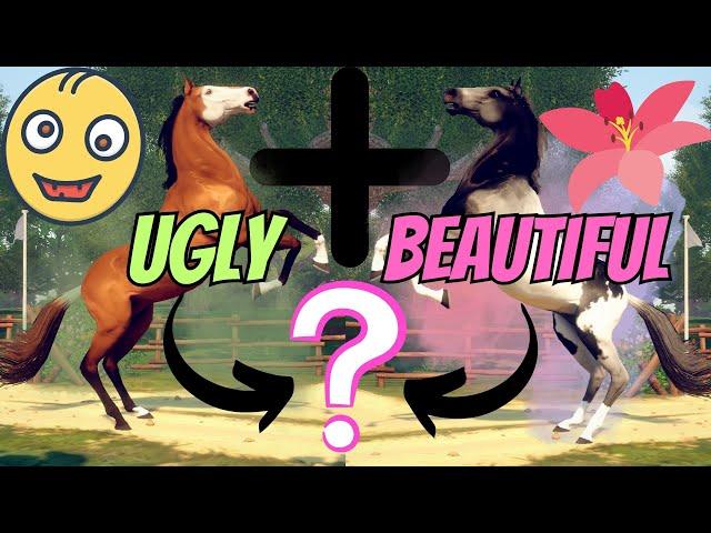 UGLY + BEAUTIFUL = CRAZY FOALS?! RIVAL STARS HORSE RACING BREEDING!