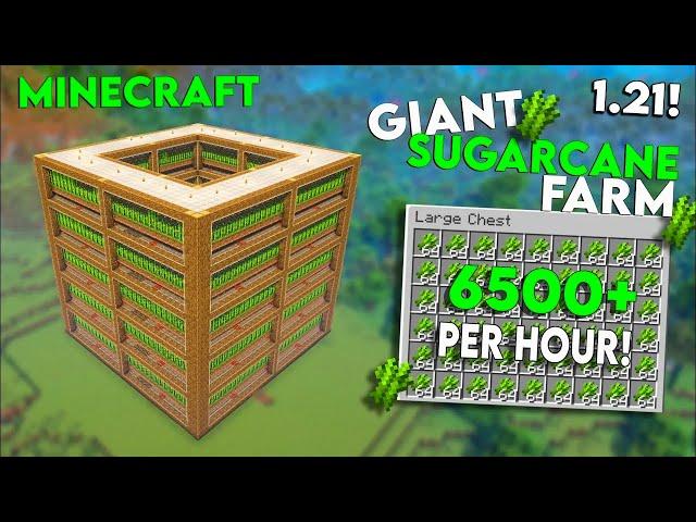 MINECRAFT 1.21 AUTOMATIC SUGAR CANE FARM / EASY EFFICIENT SUGAR CANE FARM PER HOUR 6500+ (JAVA+PE)