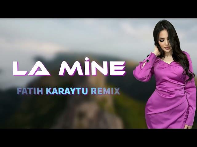 iZi Music  -La Mine