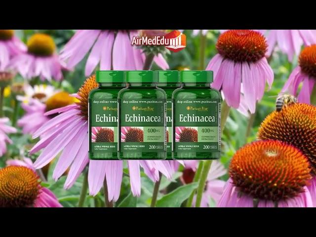 45 evidenzbasierte Vorteile von Echinacea