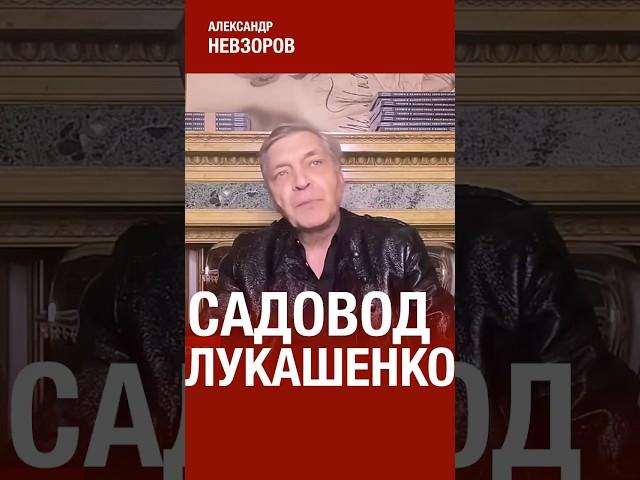 Орешник для лукашенко #невзоров