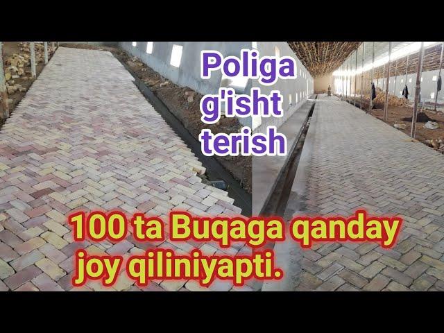 Молхона полига пишган гишт териш Molxona poliga pishgan g'isht terish