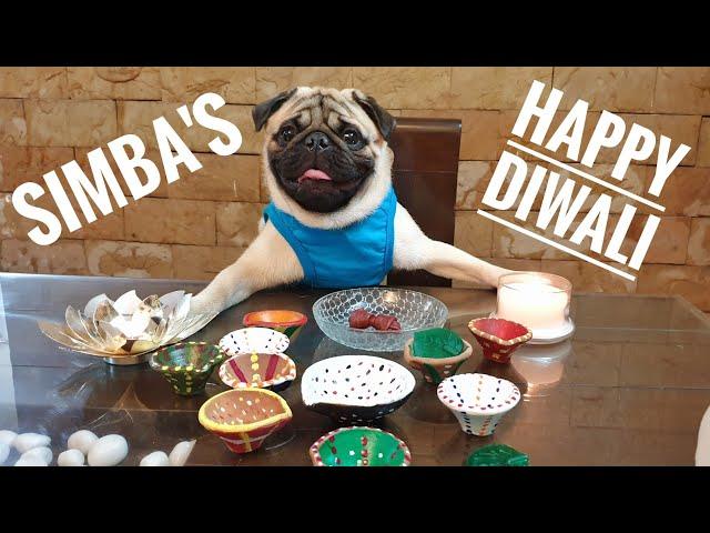 Happy Diwali SIMBA STYLE | Pug goes for spa & shopping