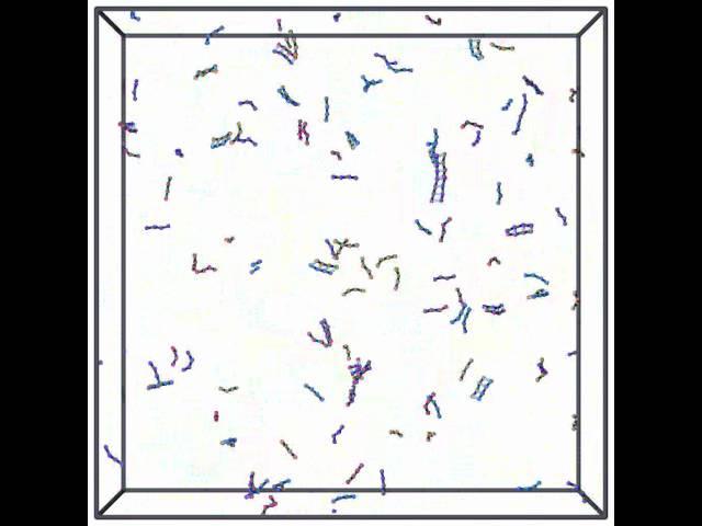 Simulation of non-enzymatic DNA replication chemistry