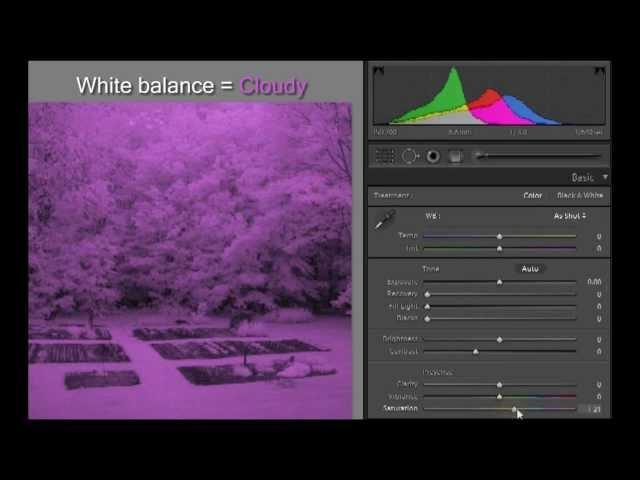 Color channels in infrared photos