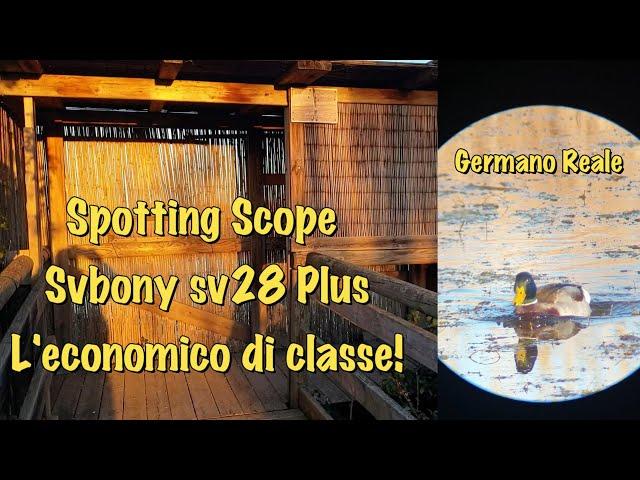 Spotting Scope Svbony sv 28 Plus, l'economico di classe! Spektiv!