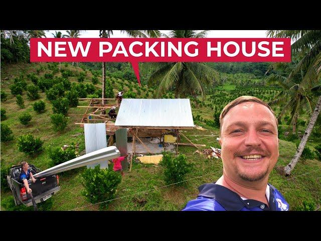 Building NEW PACKING HOUSE At The Farm! Calamansi Recognised By Philippines Government!
