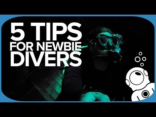 5 Tips For Newbie Divers