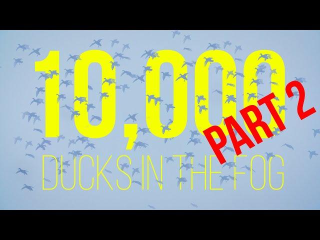 HIGDON OUTDOORS TV - 1009 - "10,000 Ducks in the Fog Part 2"