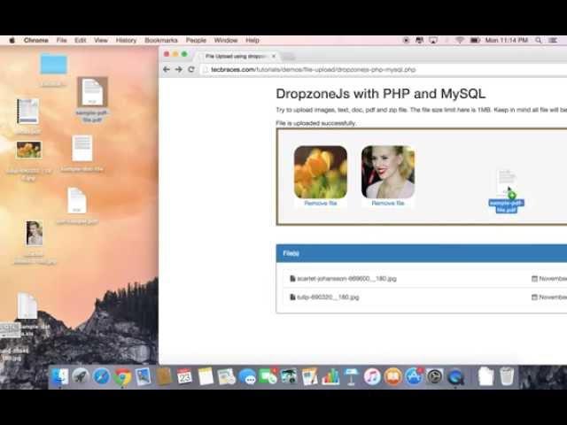 DropzoneJs with PHP and MySQL