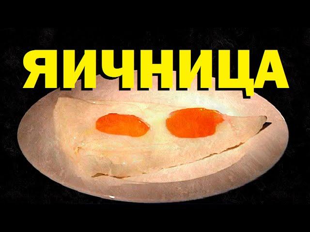 Галилео. Яичница