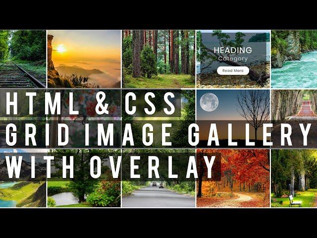 CSS Grid Image Gallery With Overlay On Hover | HTML5 & CSS3