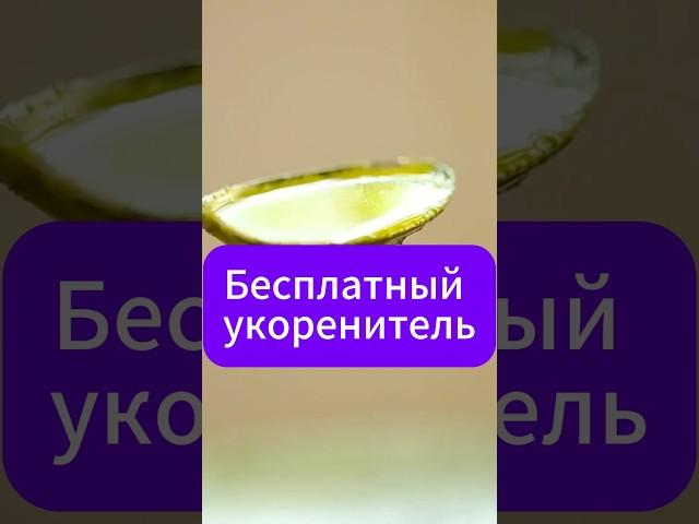 Бесплатный укоренитель #черенкование #дача  #сад  #черенки  #огород