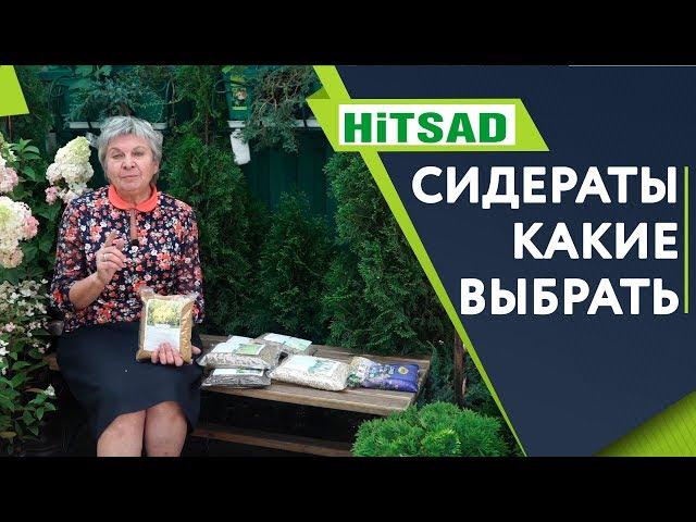 Какие Сидераты выбрать  Всё о Сидератах   Улучшаем почву с  Хитсад ТВ