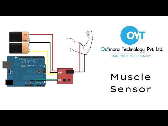 #embedded_project #oyt Muscles Sensor Project || Oxymora Technology