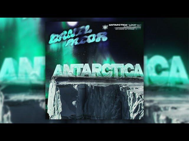 [FREE] Gunna Loop Kit Guitar/Gunna Sample Pack Guitar 2024 “ANTARCTICA“