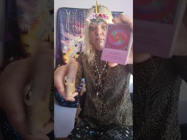 Oracle Unicorn in Shamanka messages mini oracle reading