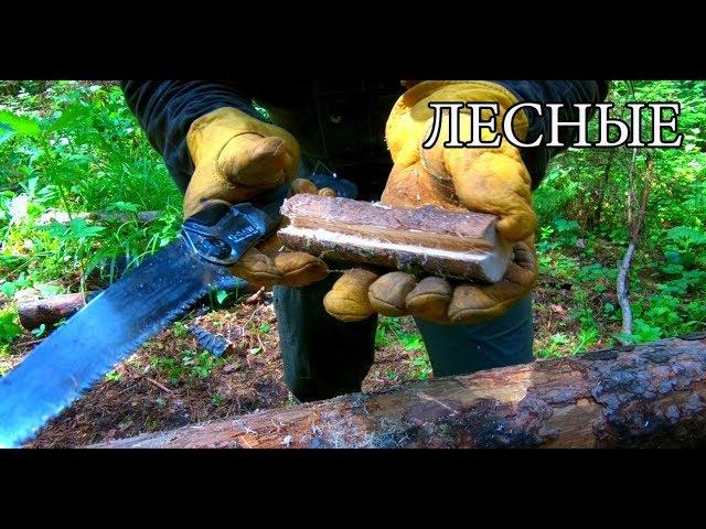 7 ПРОСТЫХ СОВЕТОВ ДЛЯ ЛЕСА | 7 BUSHCRAFT TIPS