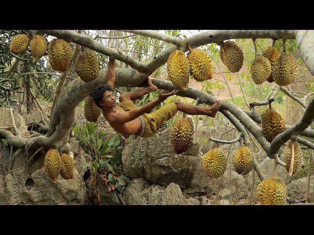 Find Rich durian at up the hill - He ate sick durian, apparently delicious