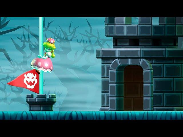 New Super Mario Bros. U Deluxe - All Secret Exits