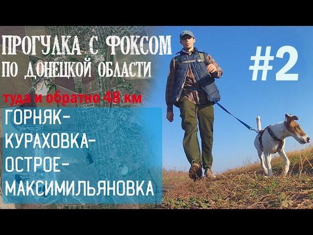 Поход с фокстерьером по Донецкой области#2/Максимильяновка-Александрополь-Зоряное