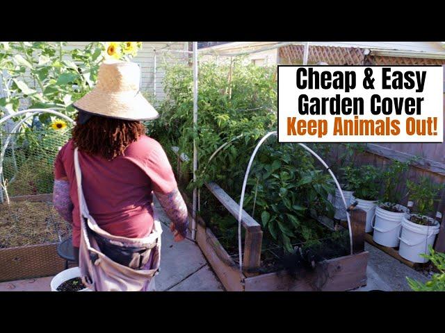 DIY Cheap & Easy Garden Cover | Keep Animals Out