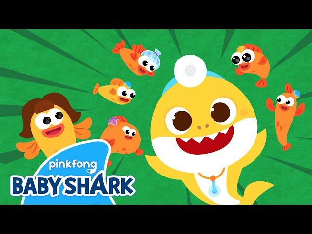 Five Little Fish Jumping on the Kelp | Sing Along with Baby Shark |  Baby Shark Official